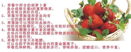 食价搜公司报价  食品配料 提取物 植物提取物 草莓粉草莓酵素粉草莓